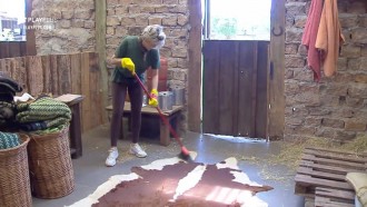 Andréa ironiza falta de limpeza das peoas: 'A mãe deve limpar'