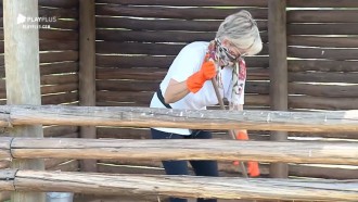 Andréa Nóbrega enfrenta cheiro forte para limpar chiqueiro