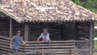 Andréa sofre com os porquinhos, e Thayse reclama