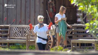 Bifão ajuda Andréa Nóbrega na atividade do chiqueiro