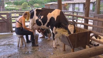 Bifão: 'Posso dormir tranquila já que Andrea e Tati não vão mais brigar'