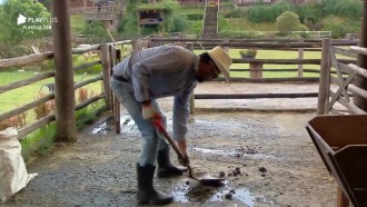 Diego Grossi acorda cedo para limpar curral da sede