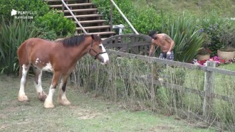 Diego Grossi cuida do jardim e reclama que Lyon comeu as plantas