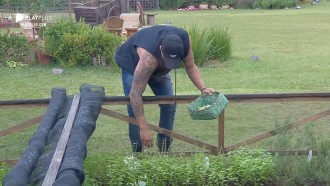 Em dia nublado, Netto acorda cedo para cuidar da horta da sede