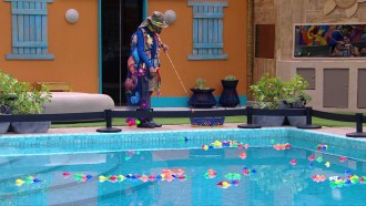 Aline cumpre Castigo do Monstro no BBB 25