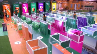 BBB 25: acompanhe a 16ª Prova do Líder!