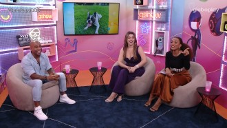 Cachorro de Cezar, Rocco ganha pretendente ao vivo