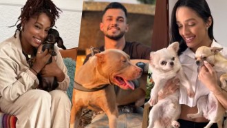 Conheça os animais de estimação dos participantes do BBB 25