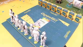 Entenda a Prova do Anjo Organnact