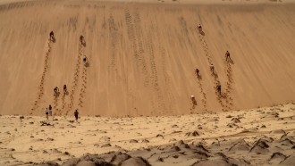 ‘No Limite’: acompanhe a estreia do reality