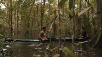 No Limite Amazônia: veja spoiler sobre os participantes