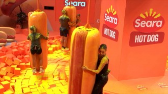 Prova do Líder de Resistência do BBB 24 completa 1 hora