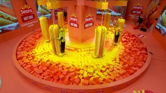 Prova do Líder de Resistência do BBB 24 completa 11 horas