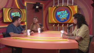 Veja os melhores momentos do Mesacast BBB de terça (11)