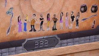 Wanessa monta top 10 no BBB 24 por 'nível de prioridade'