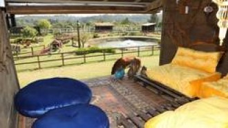 Entenda por que a Casa da Árvore já é o lugar preferido dos peões