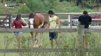 Finalistas se despedem dos animais da Fazenda