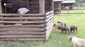 Guilherme Leão acorda cedo para limpar o chiqueiro da sede