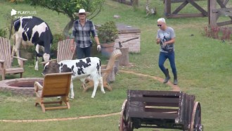 Guilherme Leão e Viny Vieira tomam verdadeiro olé de bezerro