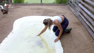 Hari Almeida e Viny Vieira cuidam da limpeza do galinheiro
