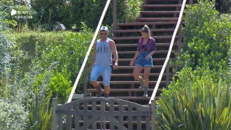 Hari diz que gosta mais de ovelhas que de porcos: 'Não fedem'