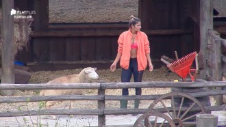 Hariany Almeida se diverte ao cuidar das ovelhas