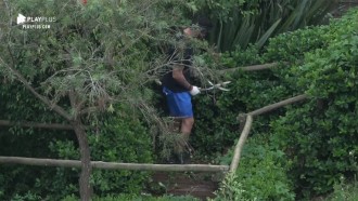 'Jardineiro' Diego Grossi poda plantas no caminho da sede
