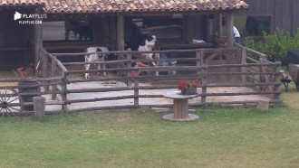 Lucas diz que atitudes de Phavanello fizeram ele superar Roça