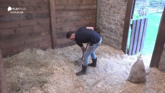 Lucas e Diego comentam que Phavanello se atrasou para tarefa