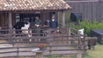 Lucas provoca punição e é criticado por Diego