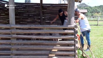 Lucas Viana passa perrengue no chiqueiro e leva mordida de porco