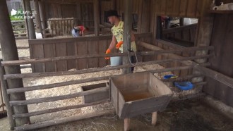 Lucas Viana sobre Hariany Almeida: 'Às vezes acho que você me odeia'