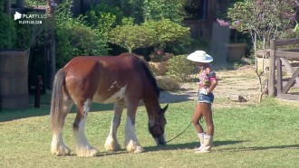 Lyon desafia peoa Sabrina Paiva e não sai do lugar