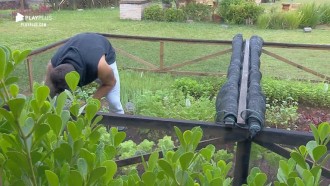 Netto acorda cedo para cuidar da horta da sede