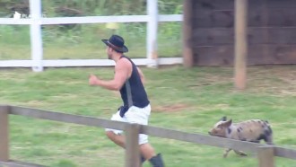 Perseguido por porco, Lucas Viana foge com medo de levar mordida