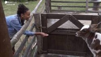 Relembre 5 momentos de Sabrina com os animais