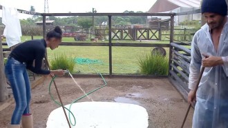 Rodrigo Phavanello e Sabrina Paiva limpam laguinho do galinheiro