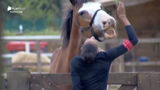 Sabrina Paiva brinca com o cavalo Lyon: 'Que delícia!'