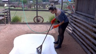 Thayse Teixeira dá duro na limpeza do 'laguinho' do galinheiro
