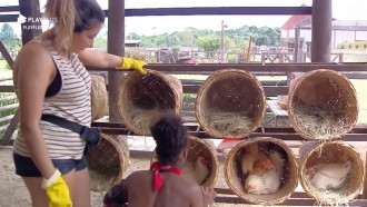 Thayse Teixeira ensina Sabrina Paiva a coletar ovos das galinhas