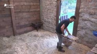 Veja 4 vezes que Diego Grossi se empenhou nas tarefas