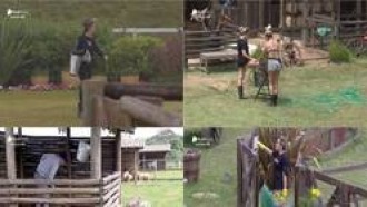 Veja como foi a manhã dos peões nesta sexta-feira (18)