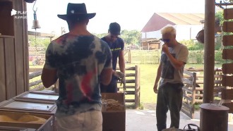 Viny ensina tarefas para Guilherme Leão e Lucas Viana