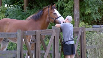 Viny Vieira aproveita tempo livre para brincar com o cavalo Lyon