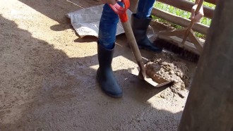 Viny Vieira limpa cocô dos porcos no chiqueiro: 'Argamassa'