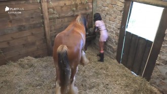 Jakelyne cuida do cavalo Lyon - A Fazenda 12