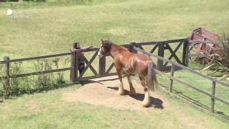 Jojo conversa com Lyon - A Fazenda 12