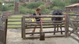 Lidi conversa com a vaca - A Fazenda 12