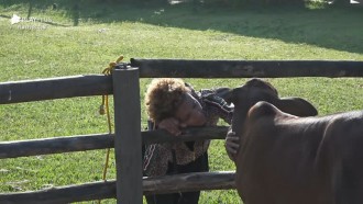 Lidi cumprimenta Priscilo - A Fazenda 12