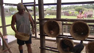 Mateus pega ovos das galinhas - A Fazenda 12